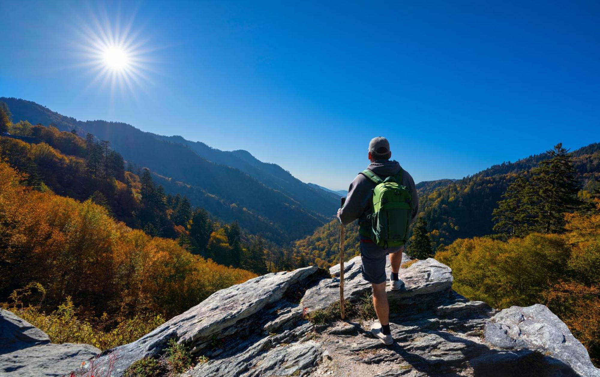 Her Majesty'S Way, Awesome Mtn Views, 1089 Free Tickets Each Paid Day, Dollywood And More Gatlinburg Bagian luar foto