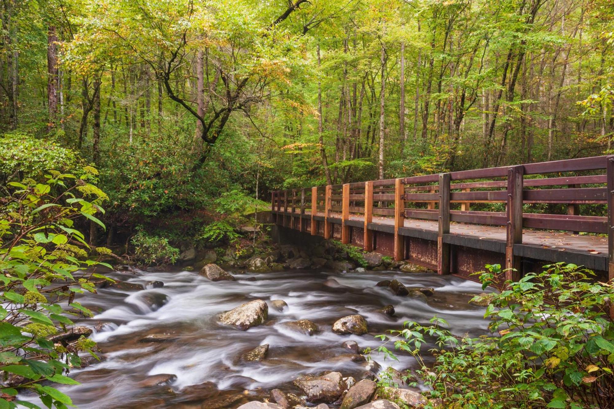 Her Majesty'S Way, Awesome Mtn Views, 1089 Free Tickets Each Paid Day, Dollywood And More Gatlinburg Bagian luar foto